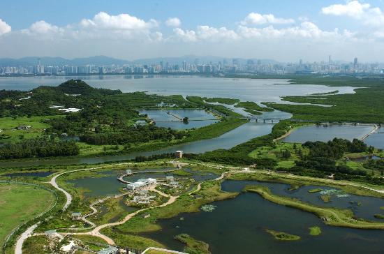 Hong Kong Wetland Park